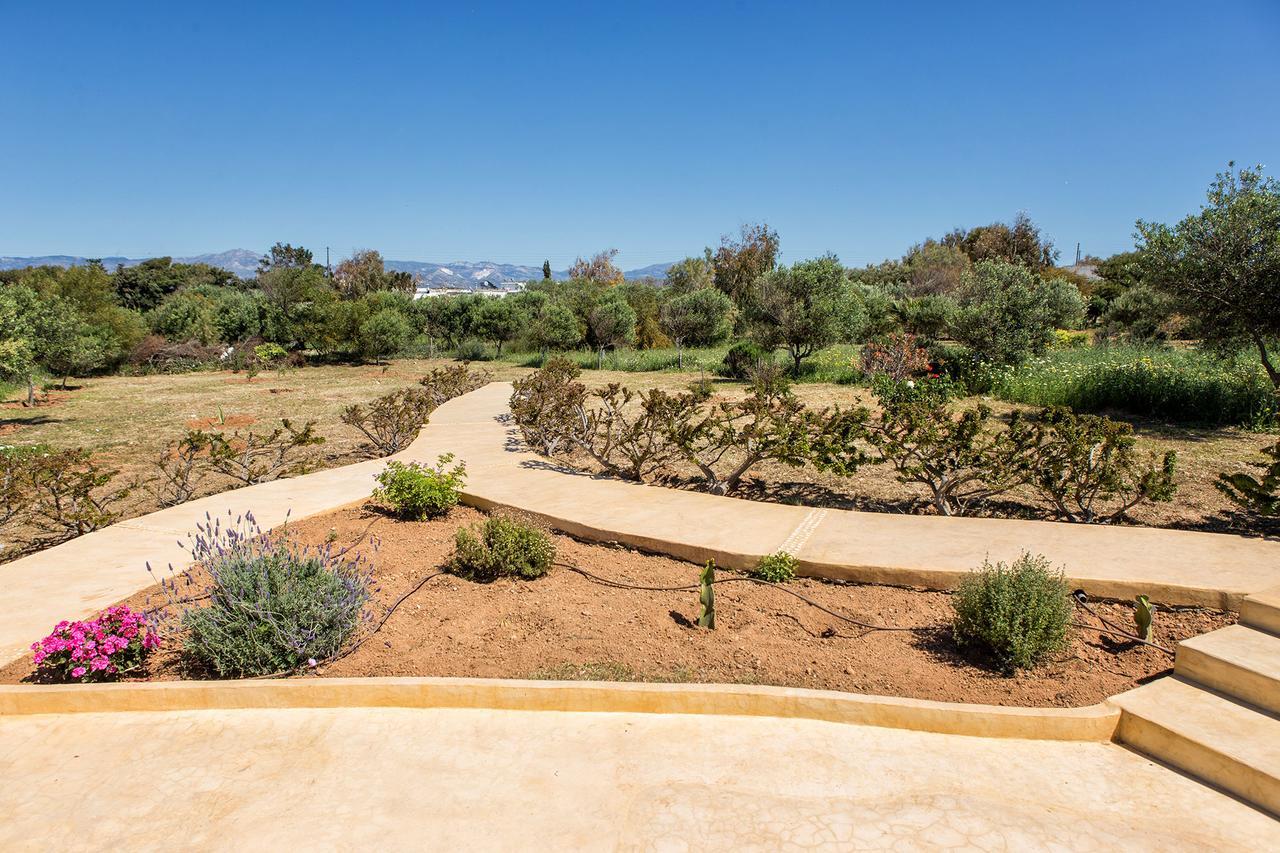 Villa Filizi - Filizi Naoussa Paros Santa Maria  Buitenkant foto